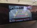 Lexus NX 300 Hybrid 4WD Executive UNICO PROPRIETARIO Nero - thumbnail 24