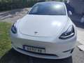 Tesla Model Y Model Y Long Range AWD 75kWh Weiß - thumbnail 6