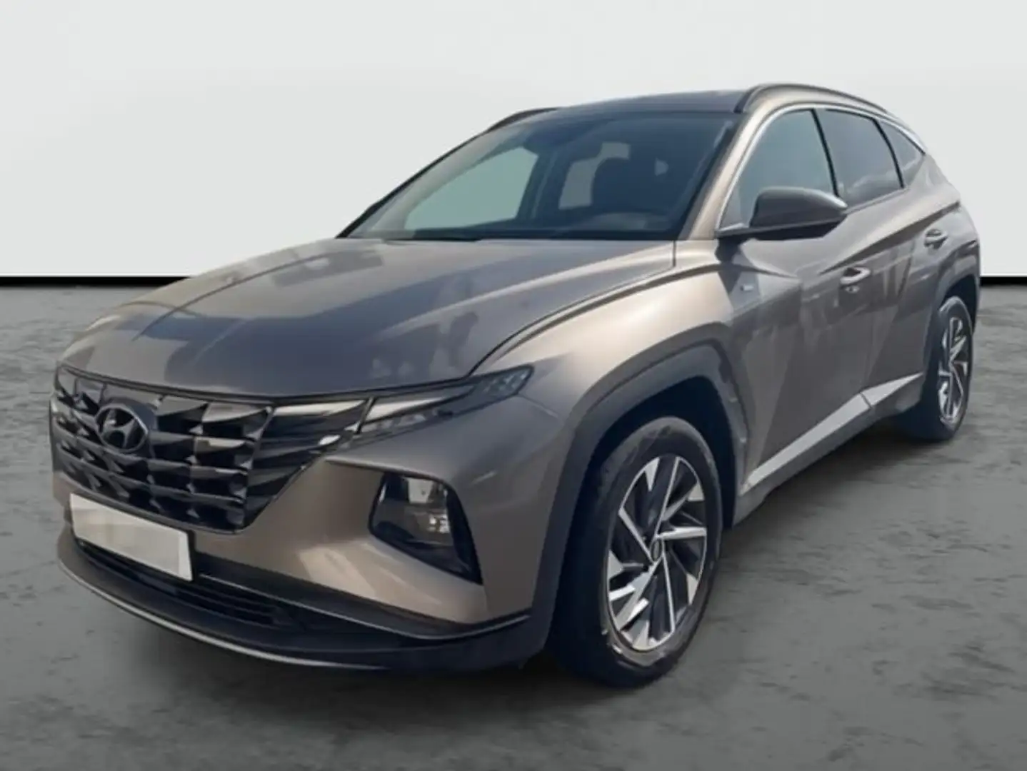 Hyundai TUCSON Nuevo 1.6 T-GDi 110 kW (150 CV) Híbrido 48V iMT6 Marrón - 1