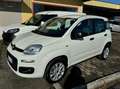 Fiat Panda 0.9 t.air t. natural power Easy 80cv Blanc - thumbnail 1