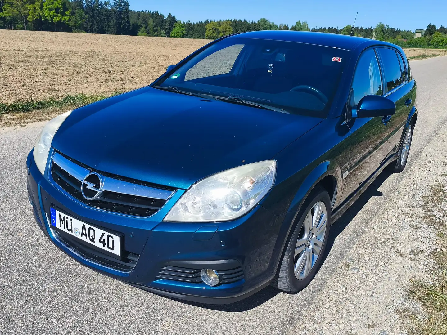 Opel Signum Signum 2.2 Cosmo Grün - 2