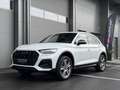 Audi Q5 SLINE OFFROAD 50TFSI eHYBRID quattro AHK MATRIX Weiß - thumbnail 14