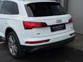 Audi Q5 SLINE OFFROAD 50TFSI eHYBRID quattro AHK MATRIX Weiß - thumbnail 23
