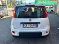 Fiat Panda 1.0 FireFly S&S Hybrid City Life Blanc - thumbnail 5