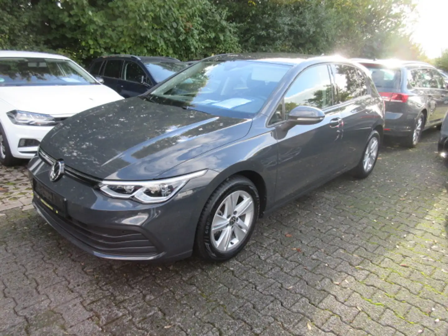 Volkswagen Golf Life 1.5 TSI NAVI LED ALU GJR APS ACC KLIMA SITZHEIZUNG Grau - 1