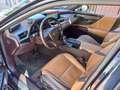 Lexus ES 300 ES 300h 2.5 Luxury cvt Blu/Azzurro - thumbnail 7
