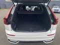 Volvo XC60 T8 AWD Plus Black Edition FACELIFT 21" FHZ H&K Weiß - thumbnail 10