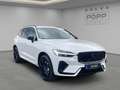 Volvo XC60 T8 AWD Plus Black Edition FACELIFT 21" FHZ H&K Weiß - thumbnail 7