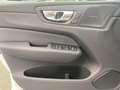 Volvo XC60 T8 AWD Plus Black Edition FACELIFT 21" FHZ H&K Weiß - thumbnail 12