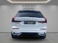 Volvo XC60 T8 AWD Plus Black Edition FACELIFT 21" FHZ H&K Weiß - thumbnail 4