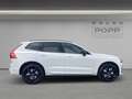 Volvo XC60 T8 AWD Plus Black Edition FACELIFT 21" FHZ H&K Weiß - thumbnail 6