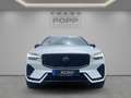 Volvo XC60 T8 AWD Plus Black Edition FACELIFT 21" FHZ H&K Weiß - thumbnail 8