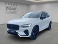Volvo XC60 T8 AWD Plus Black Edition FACELIFT 21" FHZ H&K Weiß - thumbnail 1