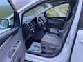 SEAT Alhambra Style Weiß - thumbnail 9