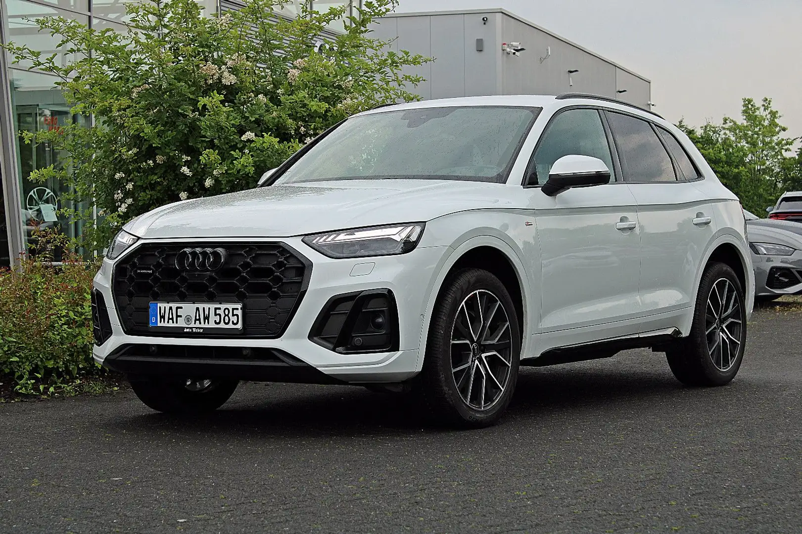 Audi Q5 40TDI quattro S LINE BLACK MATRIX B&O LEDER Weiß - 1