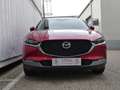 Mazda CX-30 e-Skyactive G140 Centre-Line Aut. AUTO STAHL WI... Rot - thumbnail 4