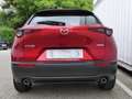 Mazda CX-30 e-Skyactive G140 Centre-Line Aut. AUTO STAHL WI... Rot - thumbnail 5