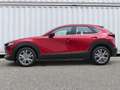 Mazda CX-30 e-Skyactive G140 Centre-Line Aut. AUTO STAHL WI... Rot - thumbnail 2