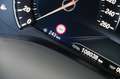 BMW X3 XDrive20i Executive DEALER OND. TREKHAAK NAP! Grau - thumbnail 13