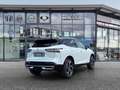 Nissan Qashqai Tekna+ 1.3 DIG-T °LED°PGD°RFK°HUD°BOSE° Weiß - thumbnail 5