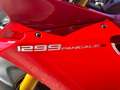 Ducati 1299 Panigale S Cambio elettronico Ducati, garanzia ufficiale Rosso - thumbnail 5