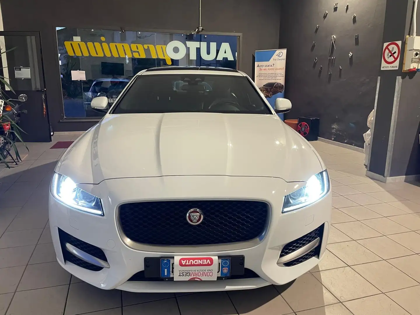 Jaguar XF XF 2.0d Portfolio 180cv auto Bianco - 1