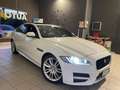 Jaguar XF XF 2.0d Portfolio 180cv auto Blanc - thumbnail 2