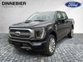 Ford F 150 F-150 Limited Launch Edt. Allrad+AHK+360° Schwarz - thumbnail 4