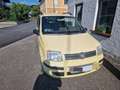 Fiat Panda Panda 1,2 ECO Dynamic ECO Dynamic Gelb - thumbnail 2