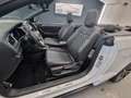 Volkswagen T-Roc Cabriolet R-Line,NAVI,LEDER,beats,LED-S. Blanc - thumbnail 19