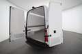 Mercedes-Benz Sprinter 317 CDI Kasten Kühlfahrzeug 3665 Weiß - thumbnail 19