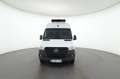 Mercedes-Benz Sprinter 317 CDI Kasten Kühlfahrzeug 3665 Weiß - thumbnail 6