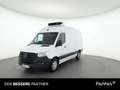 Mercedes-Benz Sprinter 317 CDI Kasten Kühlfahrzeug 3665 Weiß - thumbnail 1