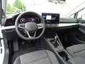 Volkswagen Golf 1.5 TSI Life "Business Premium" (150PS) Weiß - thumbnail 9
