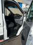 Ford Transit Transit 350 TDCi 350 L2 VA Basis Weiß - thumbnail 15