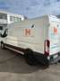 Ford Transit Transit 350 TDCi 350 L2 VA Basis Weiß - thumbnail 6
