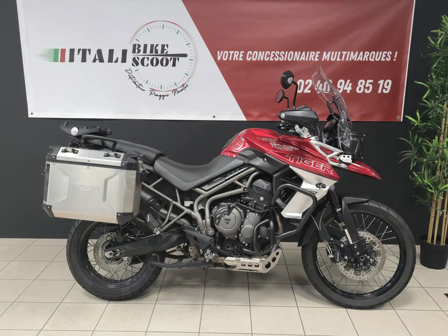 Triumph Tiger 800 Rouge - 1