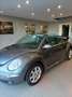 Volkswagen New Beetle 1.4 16V Cabrio Grigio - thumbnail 3