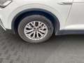 Volkswagen Touareg Basis 4Motion Weiß - thumbnail 9