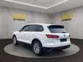 Volkswagen Touareg Basis 4Motion Weiß - thumbnail 5