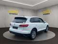 Volkswagen Touareg Basis 4Motion Weiß - thumbnail 7
