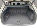 Volkswagen Touareg Basis 4Motion Weiß - thumbnail 15