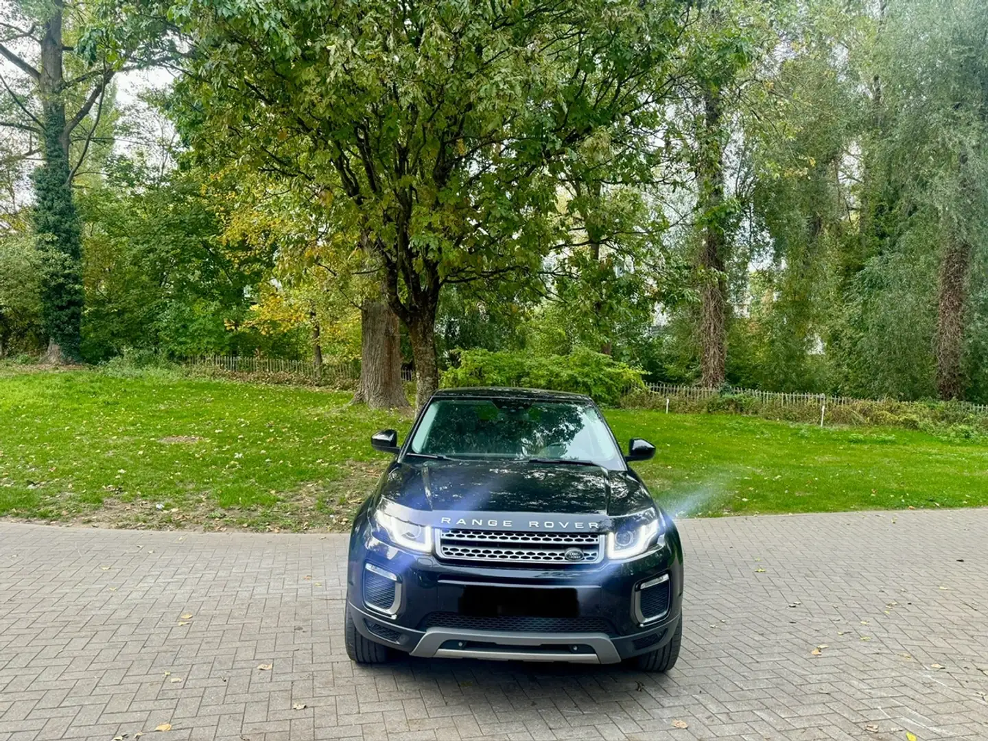 Land Rover Range Rover Evoque Evoque 2.0D Gris - 2