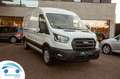 Ford Transit 2T 330 L3H2 ecoblue 130 trend business Blanc - thumbnail 1