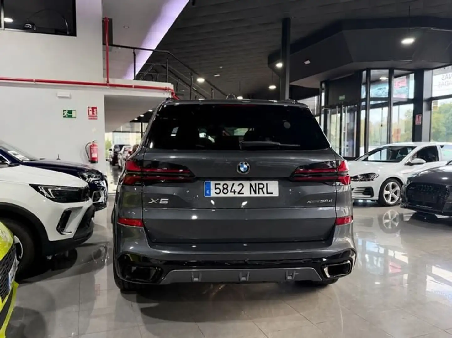 BMW X5 xDrive30d Gris - 2