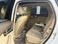Audi Q7 3.0 TDI quattro S-Line+MATRIX-LED+360°KAMERA+ Weiß - thumbnail 11