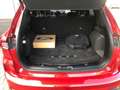 Ford Kuga PHEV ST-Line X AHK-klappbar+El. Panodach+B & O Rot - thumbnail 12