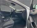 Ford Focus 1.0 EcoBoost Titanium LED+NAVI+ACC+DAB+B&O Weiß - thumbnail 12