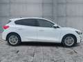 Ford Focus 1.0 EcoBoost Titanium LED+NAVI+ACC+DAB+B&O Weiß - thumbnail 7