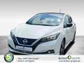 Nissan Leaf 40 kWh Tekna Weiß - thumbnail 1